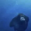 Fathom