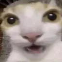 Club de los Noobs  Discord Server Icon