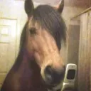 Club de los Noobs  Discord Server Icon