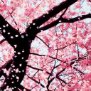 𝘎𝘪𝘧𝘵𝘪𝘯𝘨 𝘉𝘭𝘰𝘴𝘴𝘰𝘮𝘴 ♥ Discord server icon