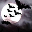 Nocturnal icon
