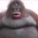 Da Monke Club™
