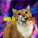 discord.gg/VuyTUw7tNa < New server | Official Mylo the Cat Discord Server