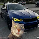 Beatels