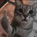 kaey’s meowers