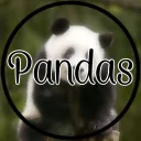 ଓ✦₊˚ pandas! ‧₊୭