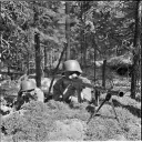 Ww2 server