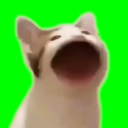 Gaming Clips UwU
