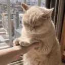 ♡﹕ ruii chill + chat <3