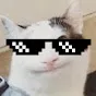 CAT ARMY