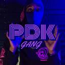  🟣 PDK GANG 🟣  Discord Server Icon