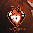 TEAM CFX