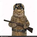 🕶коты бандиты🕶