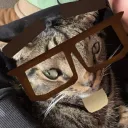 𝗟𝗔 𝗣𝗥𝗢𝗛𝗨𝗕