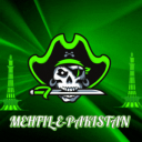 Discovery icon for Mehfil-e-Pakistan ┃ Gaming・Chill・VC Hangout Discord server