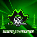 MEHFIL E PAKISTAN  | INDIA | BANGALDESH  | 🎮 Gaming | 😌 Chill | 🧑🤝🧑 Hangout icon
