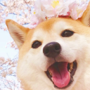 ⊹ ִֶָ𓂅  Shibe Emotes