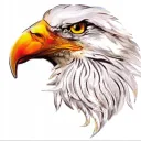 THE EAGLES