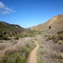 The Wilds
