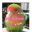 ぽっち〜のお庭♡