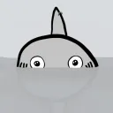 The Shark Zone!