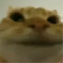 LOL