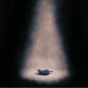 Dreamcord