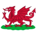 Wales Token Community server
