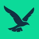 South Bay Social Birders