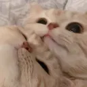 Multiverse Discord Server Icon