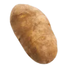 Spudfest