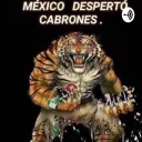 VAMOS MEXICO CARAJO 🗣