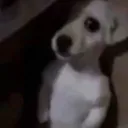 𝗧𝗘𝗡𝗧𝗔