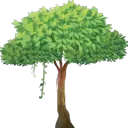 Silvanus Support Server