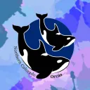 Orcas Artistic Swimming