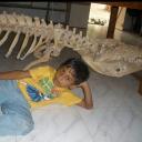 ded sv