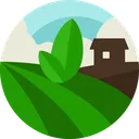 Share Land