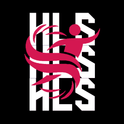 Discovery icon for HLS - High League Soccer Discord server