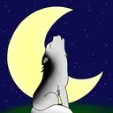 🐺𝑫𝒂𝒊𝒌𝒂𝒕𝒐 & 𝑭𝒓𝒆𝒋𝒂 𝑾𝒐𝒍𝒇s𝒉ö𝒉𝒍𝒆🌕
