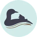 Loon Lagoon