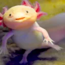 GreenAxolotls's
