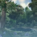 The Wholesome Garden