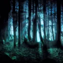 Chaos’ Twisted Forest