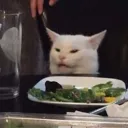 ๐๐ช๐ฝ ๐๐ช๐ถ๐ฎ๐ป๐ผ