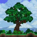 the forest fortress >:D