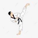 Taekwondo Discord Server Icon