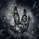 Evolve