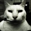 Сервер Inos — Діскорд Сервер