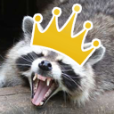 Raccoon Empire