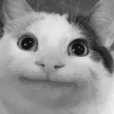 JOIN -> discord.gg/beluga